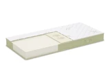 Aloe Vera Plus Memory