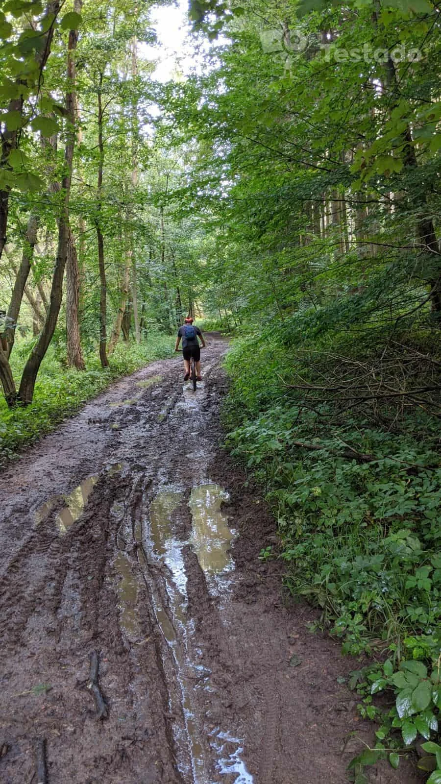 Recenze helmy na kolo Safe-Tec TYR 3