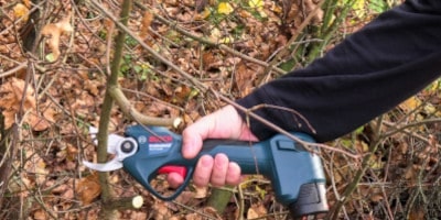 Bosch Pro Pruner Professional