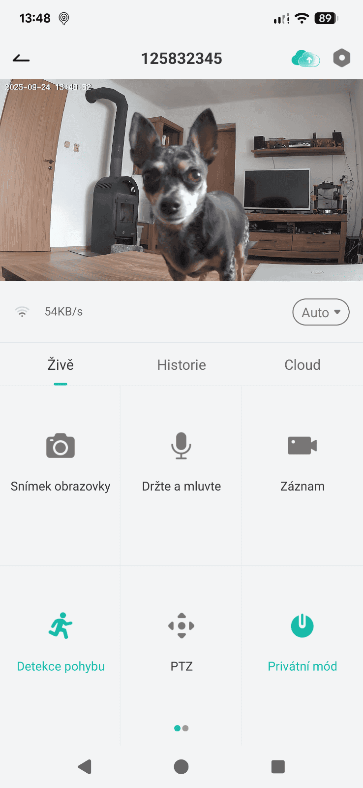 Aerium Zooma 25F záznam pohybu