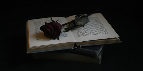 Dark Romance: Proč se čtenářkám líbí temná romance?