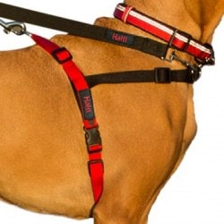 Halti Harness: Product review