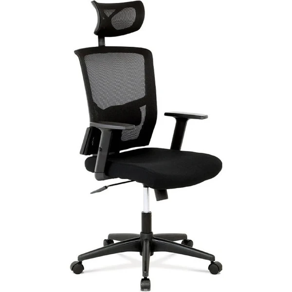 Autronic KA-B1013: Product review