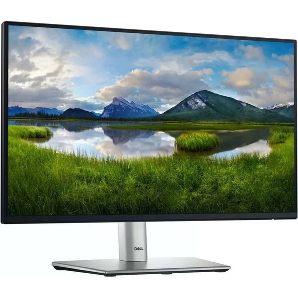 Dell P2225H: Product review