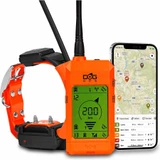 DogTrace X30T