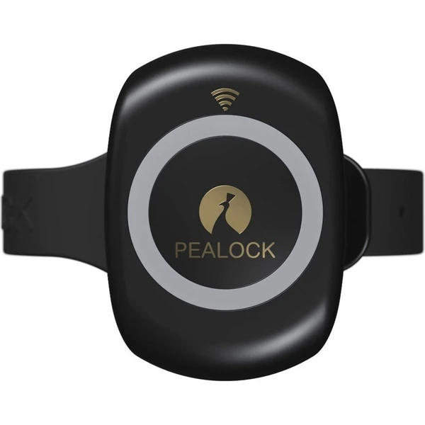 Pealock 2: Product review
