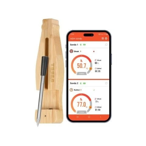 TESLA Cook BBQ200: Product review
