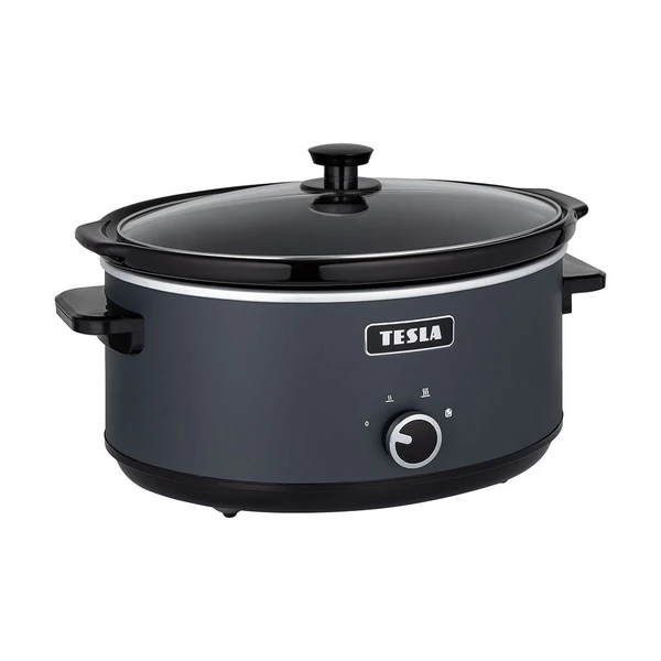 TESLA SlowCook S500: Product review
