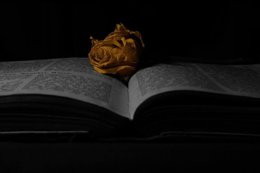 Stoupající popularita žánru dark romance - informativní článek testado01