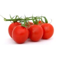 Pěstování rajčat krok za krokem: Jak vypěstovat chutná rajčata