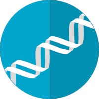Nejlepší DNA testy původu 2022