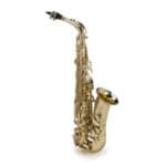 Saxofon SOUNDSATION SALSX-20 - recenze