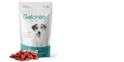 Recenze kloubní výživy pro psy Geloren S-M