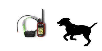 Nejlepší GPS obojky pro psy 2022
