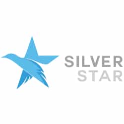 Recenze a test Silver Star – obchodníka se stříbrnými mincemi a slitky.