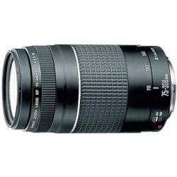 Zoom objektiv Canon EF 75-300 mm recenze