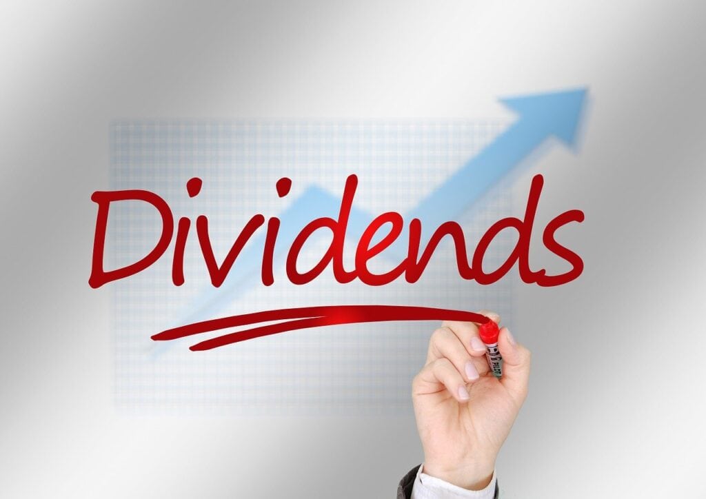 Co je dividenda - informace
