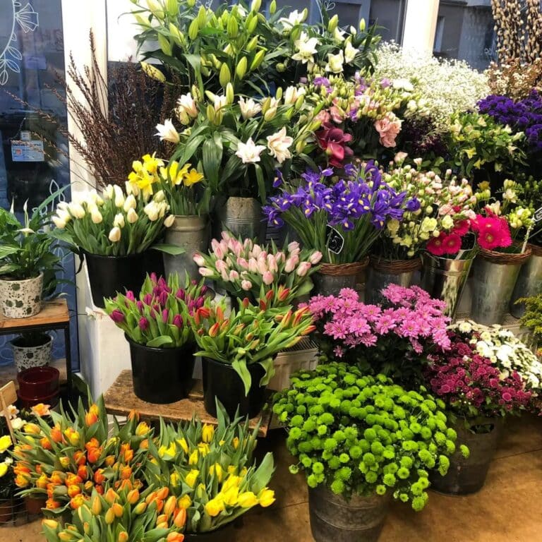 kytice expres nabídka květin s dovozem