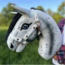 Nejlepší hobby horse 2025 – Test a průvodce výběrem