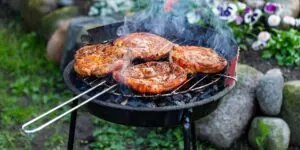 Test 16 grilů. Srovnání výkonu, designu a ceny nejlepších grilů 2025